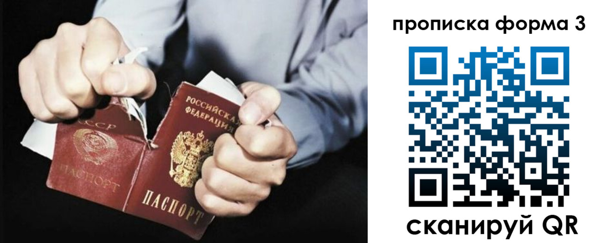 временная регистрация собственник в Елизово